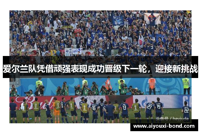 爱尔兰队凭借顽强表现成功晋级下一轮，迎接新挑战