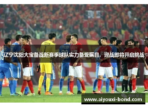 辽宁沈阳大宝备战新赛季球队实力备受瞩目，迎战即将开启挑战