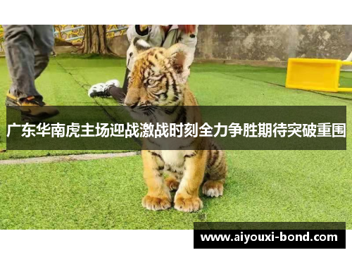 广东华南虎主场迎战激战时刻全力争胜期待突破重围