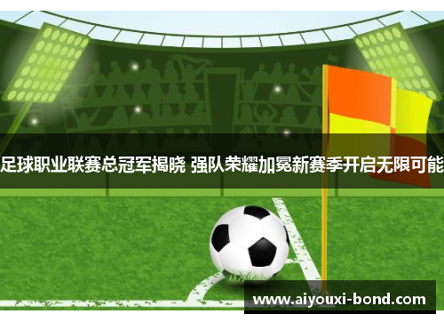 足球职业联赛总冠军揭晓 强队荣耀加冕新赛季开启无限可能