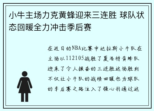 小牛主场力克黄蜂迎来三连胜 球队状态回暖全力冲击季后赛