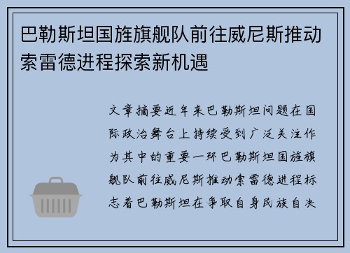 巴勒斯坦国旌旗舰队前往威尼斯推动索雷德进程探索新机遇
